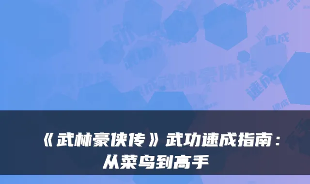 《武林豪侠传》武功速成指南：从菜鸟到高手
