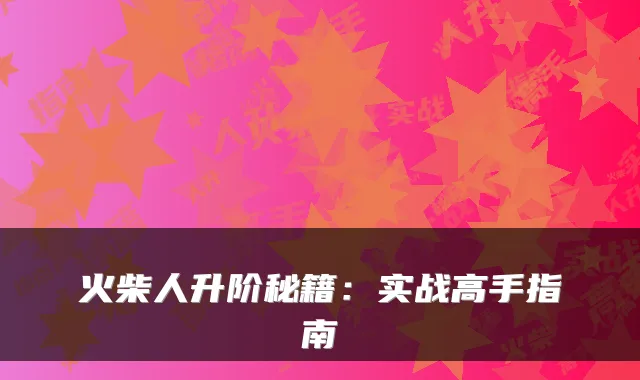 火柴人升阶秘籍：实战高手指南