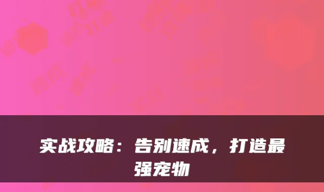 实战攻略：告别速成，打造最强宠物