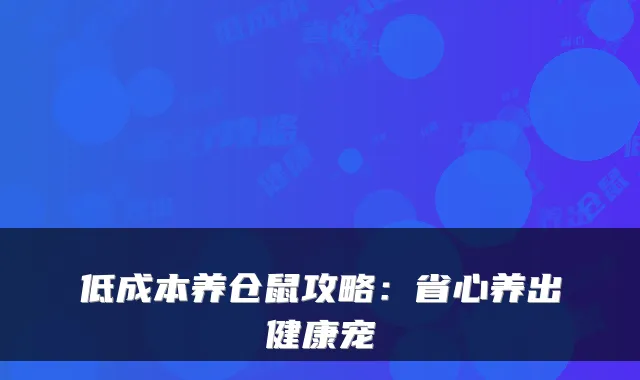 低成本养仓鼠攻略:省心养出健康宠