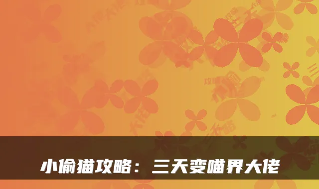 小偷猫攻略:三天变喵界大佬