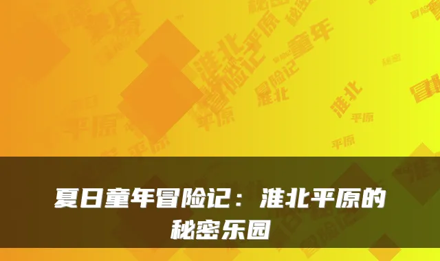 夏日童年冒险记：淮北平原的秘密乐园