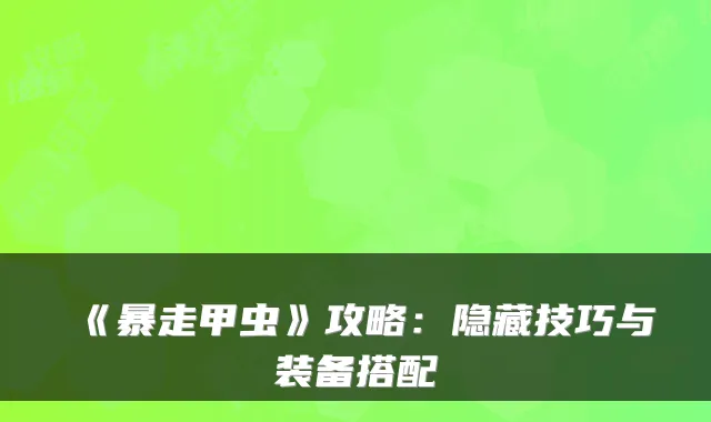 《暴走甲虫》攻略：隐藏技巧与装备搭配