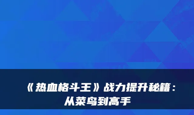 《热血格斗王》战力提升秘籍：从菜鸟到高手