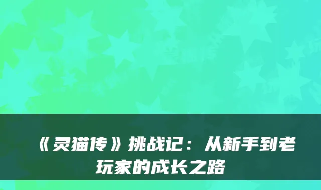 《灵猫传》挑战记：从新手到老玩家的成长之路