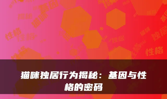 猫咪独居行为揭秘：基因与性格的密码