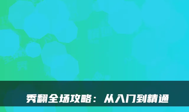 汎秀翻全场攻略：从入门到精通