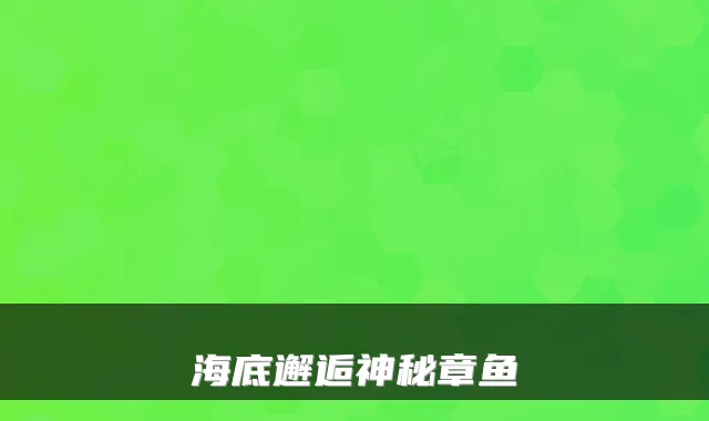 海底邂逅神秘章鱼