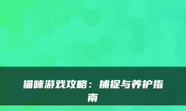 猫咪游戏攻略：捕捉与养护指南