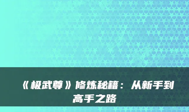 《极武尊》修炼秘籍：从新手到高手之路