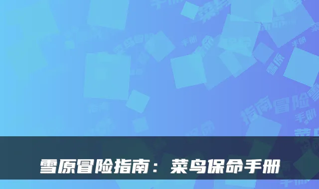 雪原冒险指南：菜鸟保命手册