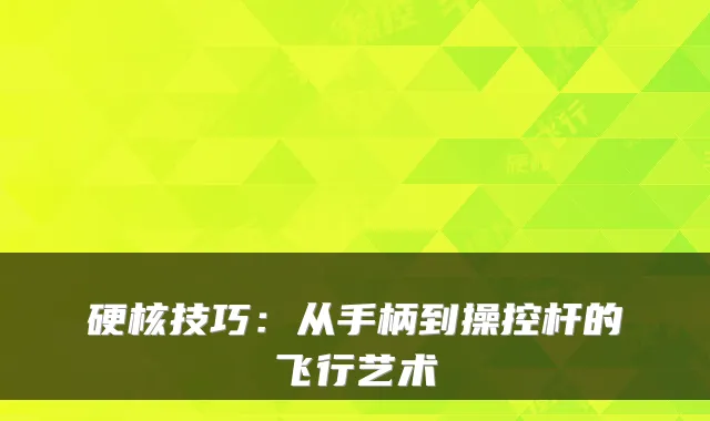 硬核技巧：从手柄到操控杆的飞行艺术