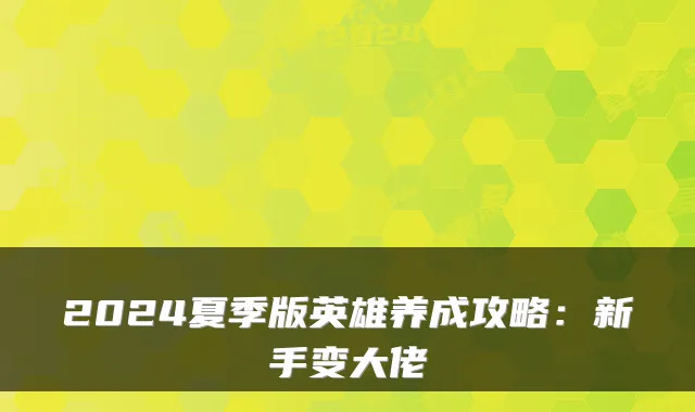 2024夏季版英雄养成攻略：新手变大佬
