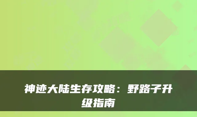 神迹大陆生存攻略：野路子升级指南