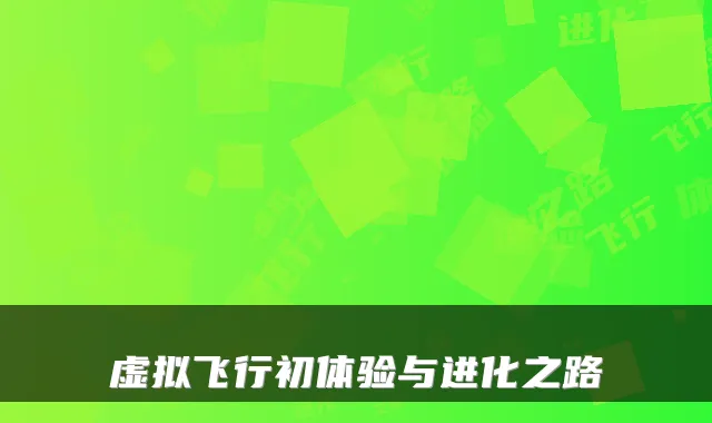虚拟飞行初体验与进化之路