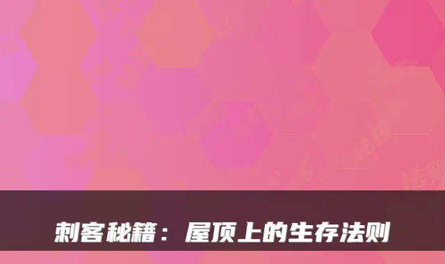 刺客秘籍：屋顶上的生存法则