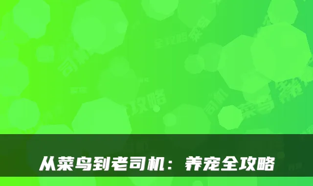 从菜鸟到老司机：养宠全攻略