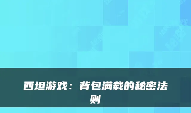 西坦游戏：背包满载的秘密法则