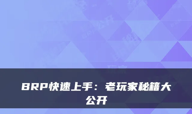 BRP快速上手：老玩家秘籍大公开