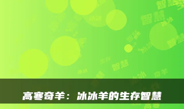 高寒奇羊：冰冰羊的生存智慧