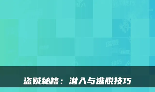 盗贼秘籍：潜入与逃脱技巧