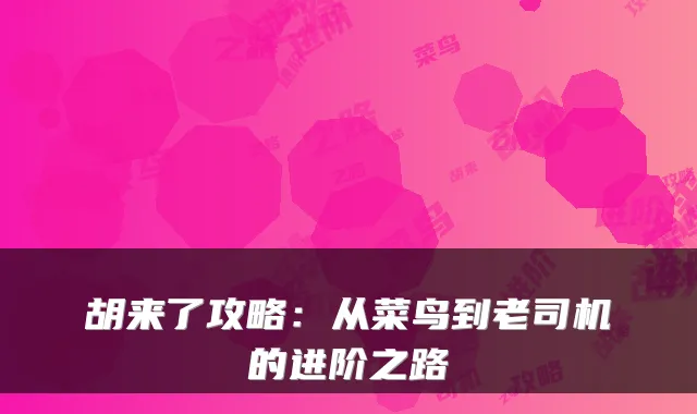 胡来了攻略：从菜鸟到老司机的进阶之路