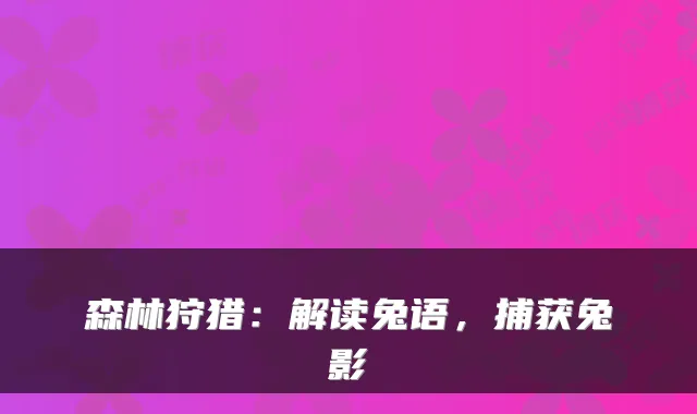 森林狩猎：解读兔语，捕获兔影