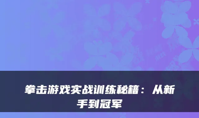 拳击游戏实战训练秘籍：从新手到冠军