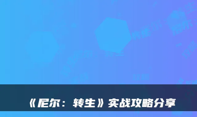 《尼尔：转生》实战攻略分享