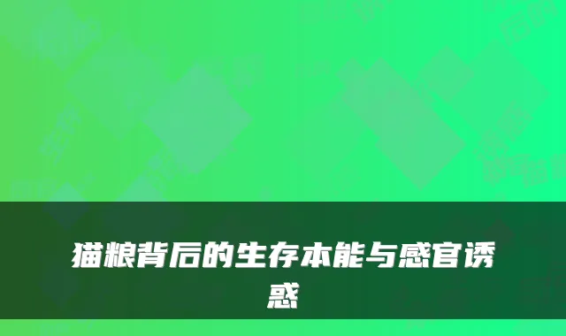 猫粮背后的生存本能与感官诱惑