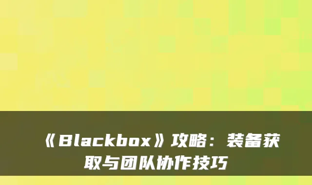 《Blackbox》攻略：装备获取与团队协作技巧
