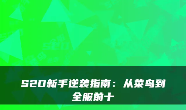 S2D新手逆袭指南：从菜鸟到全服前十