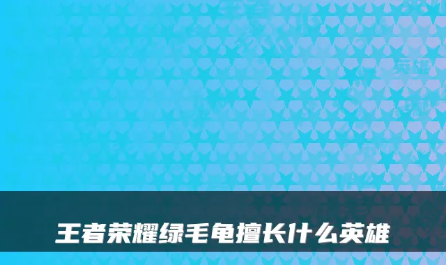 王者荣耀绿毛龟擅长什么英雄