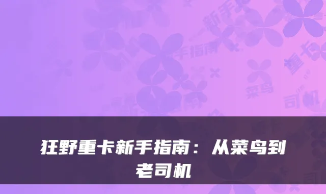 狂野重卡新手指南：从菜鸟到老司机