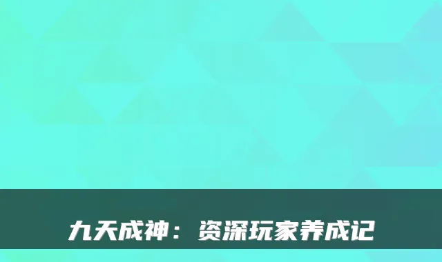 九天成神：资深玩家养成记