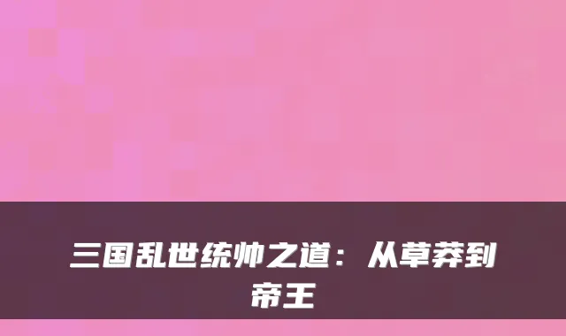 三国乱世统帅之道：从草莽到帝王