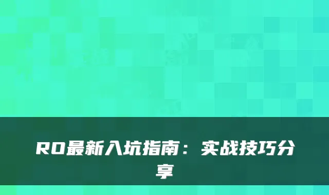 RO新入坑指南：实战技巧分享
