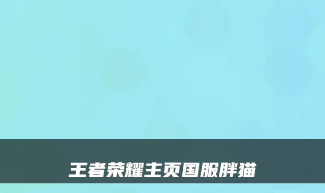 王者荣耀主页国服胖猫