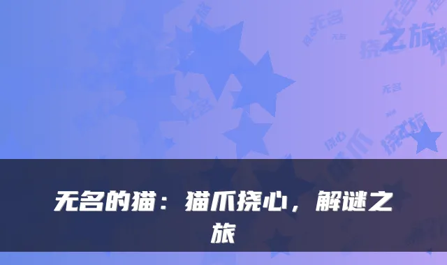 无名的猫：猫爪挠心，解谜之旅