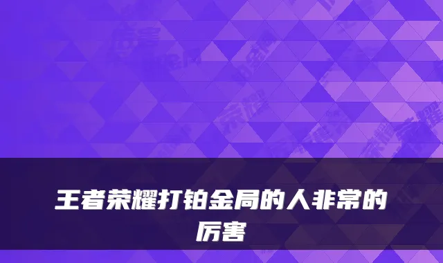 王者荣耀打铂金局的人的厉害