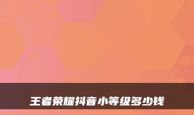 王者荣耀抖音小等级多少钱