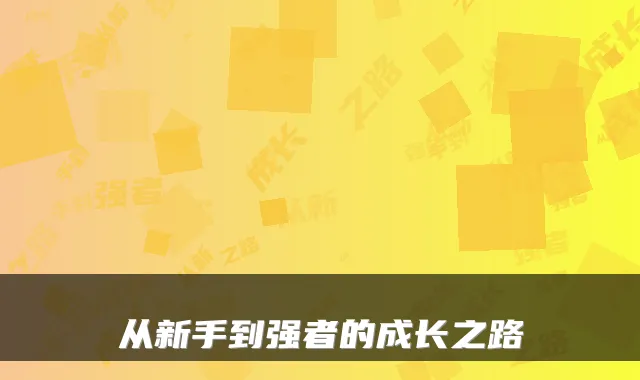 从新手到强者的成长之路