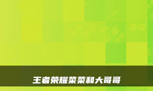 王者荣耀菜菜和大哥哥