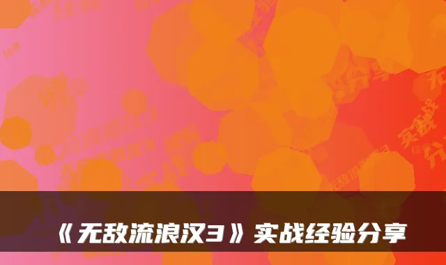 《流浪汉3》实战经验分享