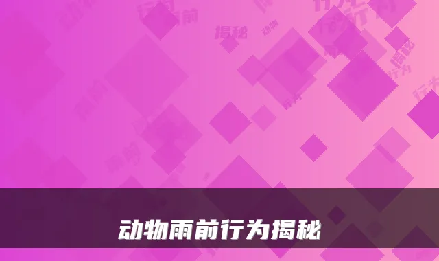 动物雨前行为揭秘