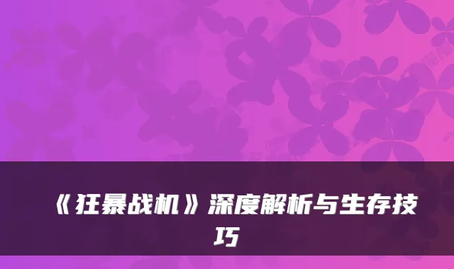 《狂暴战机》深度解析与生存技巧