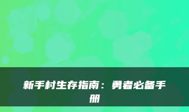 新手村生存指南：勇者必备手册