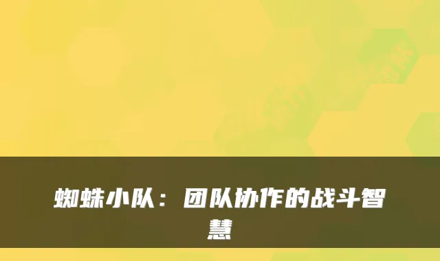 蜘蛛小队：团队协作的战斗智慧