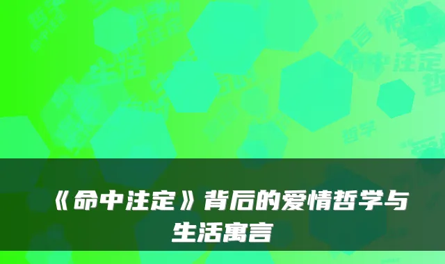 《命中注定》背后的爱情哲学与生活寓言