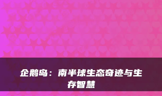 企鹅岛：南半球生态奇迹与生存智慧